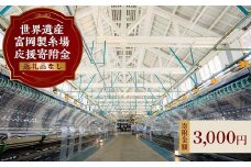 ＼世界遺産!!／ 富岡製糸場 応援寄附金 3,000円分（返礼品なし） F20E-944