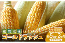 ＜2026年先行予約＞【定期便】夜間収穫したとうもろこし ゴールドラッシュ (各約5kg)《2ヶ月連続》 2L トウモロコシ とうもろこし コーン ゴールドラッシュ 定期便 野菜 食品 F21E-068