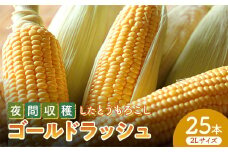 ＜夜間収穫＞とうもろこし ゴールドラッシュ ＜2Lサイズ＞約10kg(25本) 夜採れ トウモロコシ とうもろこし コーン 野菜 食品 F21E-066