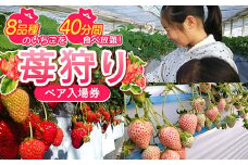  ＜高田いちご園＞ 苺狩りペア入場券(2名様) 食べ放題 いちご狩り 高田いちご園 ペア 入場券 2名 いちご 苺 イチゴ フルーツ 果物 体験 F21E-083
