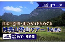 《上級コース》日本三奇勝・山のガイドとめぐる妙義山登山ツアー【白雲山コース】 (1名様分)  日本三奇勝 妙義山 登山 山岳 ツアー 上級 ガイド付き 観光 F21E-208
