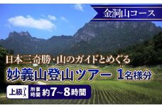 《上級コース》日本三奇勝・山のガイドとめぐる妙義山登山ツアー【金洞山コース】 (1名様分)  日本三奇勝 妙義山 登山 山岳 ツアー 上級 ガイド付き 観光 F21E-209