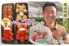 自宅でいちご狩りセット ＜淡雪・赤い苺3種類＞【2025年3月1日〜5月15日発送】 (各220g以上×4パック) 群馬県産 オリジナル品種 いちご 苺 イチゴ 白いちご 淡雪 食べ比べ セット 詰合せ 果物 フルーツ 食品 F21E-249