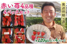 自宅でいちご狩りセット＜赤い苺4品種＞【2025年3月1日〜5月15日発送】 計4パック(各220g以上) 群馬県産 いちご 苺 イチゴ 食べ比べ セット 詰合せ 果物 フルーツ 食品 F21E-251