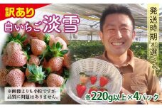 ＜訳あり品＞ 群馬県産白イチゴ「淡雪」(各220g以上×4パック)【2025年3月1日〜5月15日発送】 小粒 訳あり 白いちご 淡雪 群馬県産 苺 イチゴ 淡雪 詰合せ 果物 フルーツ 食品 F21E-253