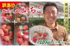 ＜訳あり品＞ 群馬県産オススメいちご 4品種(各220g以上×4パック)【2025年3月1日〜5月15日発送】 小粒 訳あり 群馬県産 いちご 苺 イチゴ 食べ比べ セット 詰合せ 果物 フルーツ 食品 F21E-255