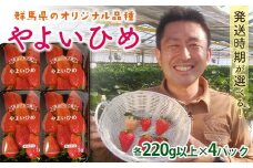 群馬県産いちごセット＜お得なやよいひめ4パック ＞【2025年3月1日〜5月15日発送】(各220g以上×4パック) いちご やよいひめ 群馬県産 オリジナル品種 苺 イチゴ セット 詰合せ 果物 フルーツ 食品 F21E-247