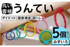 丸い 雲梯（うんてい） 5個セット ＜みずいろ＞ 雲梯 ウンテイ 健康 健康増進 ダイエット 筋トレ F21E-279