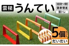 雲梯（うんてい）5個セット ＜だいだい＞ 雲梯 ウンテイ 健康 健康増進 ダイエット 筋トレ 屋根裏や秘密基地への階段 F21E-258