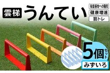 雲梯（うんてい）5個セット ＜みずいろ＞ 雲梯 ウンテイ 健康 健康増進 ダイエット 筋トレ 屋根裏や秘密基地への階段 F21E-263