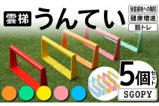 雲梯（うんてい）5個セット ＜SGOPY＞ 雲梯 ウンテイ 健康 健康増進 ダイエット 筋トレ 屋根裏や秘密基地への階段 F21E-264