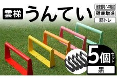 雲梯（うんてい）5個セット ＜黒＞ 雲梯 ウンテイ 健康 健康増進 ダイエット 筋トレ 屋根裏や秘密基地への階段 F21E-266