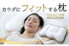 カラダにフィットする枕エクセレント F21E-272