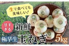 ＜2026年発送 先行予約＞甘すぎる新鮮極早生玉ねぎ 5kg 減農薬減 化学肥料 生食 たまねぎ 玉ねぎ タマネギ 野菜 食品 F21E-465