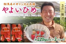 群馬県産いちごセット＜やよいひめ2パック＞【2026年3月1日〜5月15日発送】(各220g以上×2パック) いちご やよいひめ 群馬県産 オリジナル品種 苺 イチゴ セット 詰合せ 果物 フルーツ 食品 F21E-494