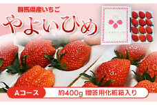 【Aコース】群馬県産いちご「やよいひめ」約400g 贈答用化粧箱入り ANV001