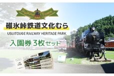 入園招待券3枚セット ANAE001