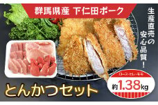 下仁田ポークとんかつセット ANT001