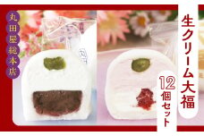 生クリーム大福12個セット ANQ005