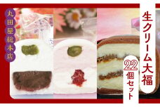 生クリーム大福22個セット ANQ012