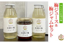 梅ジュース＆梅ジャムセット ANAN003