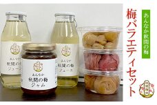 梅バラエティセット ANAN004
