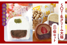 SOY・生クリーム大福8個セット ANQ019