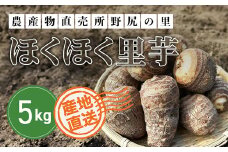 【先行予約】土づくりからこだわったほくほく里芋【５kg】 ※数量限定 ANAR003 / 数量限定 里芋 さといも 里いも サトイモ 冬の味覚 国産 群馬県産 先行予約