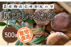 【先行予約】原木しいたけ【500ｇ】 ※数量限定  ANAR004 / しいたけ シイタケ 椎茸  野菜 きのこ キノコ 茸 数量限定 冬の味覚 国産 群馬県産 先行予約