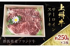 上州牛サーロインステーキ（約250ｇ×３枚） ANP003