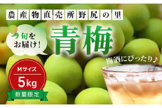 【2025年発送分先行予約】旬をお届け！青梅【Mサイズ５㎏】 ANAR017