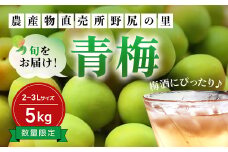 【2025年発送分先行予約】旬をお届け！青梅【２L～３Lサイズ５㎏】 ANAR019