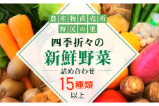 四季折々の新鮮野菜詰め合わせ 旬をお届け! 【15種類以上】 ANAR008
