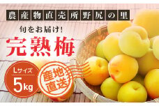 【2025年発送分先行予約】旬をお届け!完熟梅【Lサイズ5kg】 ANAR013