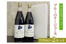 ブルーベリージュース720ml×2セット ANAN006