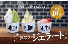 gelateria gattino 季節のジェラートおすすめ１０種セット /ANBB002