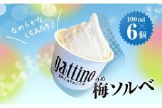 gelateria gattino 安中市秋間梅林の梅ソルベ(シャーベット)６個 /ANBB003