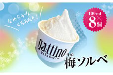 gelateria gattino 安中市秋間梅林の梅ソルベ(シャーベット)８個 /ANBB004