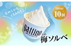 gelateria gattino 安中市秋間梅林の梅ソルベ(シャーベット)１０個 /ANBB005