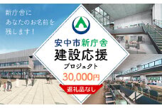 【返礼品なし】新庁舎にあなたのお名前を残します！ 寄附金額：30,000円 / ANAX013