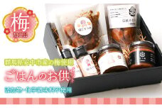 梅加工品【ごはんのお供セット】 ANBF001