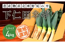【先行予約】下仁田ネギLサイズ【4㎏】 ※数量限定  ANAR012 / 下仁田ネギ ネギ ねぎ 葱 産地直送 しもにたねぎ しもにたネギ 下仁田ねぎ 下仁田葱 ねぎ焼き ねぎ焼 鍋 すき焼き すきやき 数量限定 冬の味覚 国産 群馬県産