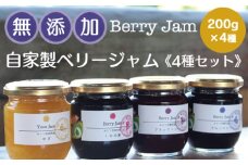 Berry Jam