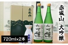赤城山　大吟醸