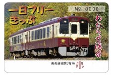 わたらせ渓谷鐵道「トロッコ列車の旅セット」 ※こども１名用