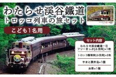 わたらせ渓谷鐵道「トロッコ列車の旅セット」 ※こども１名用