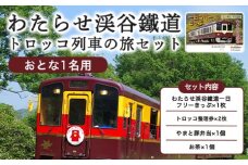 わたらせ渓谷鐵道「トロッコ列車の旅セット」 ※おとな１名用