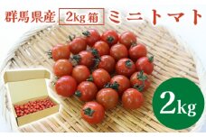 ミニトマト2㎏箱【10月以降順次発送】