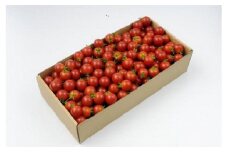 ミニトマト1kg【10月以降順次発送】