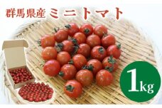 ミニトマト1kg【10月以降順次発送】